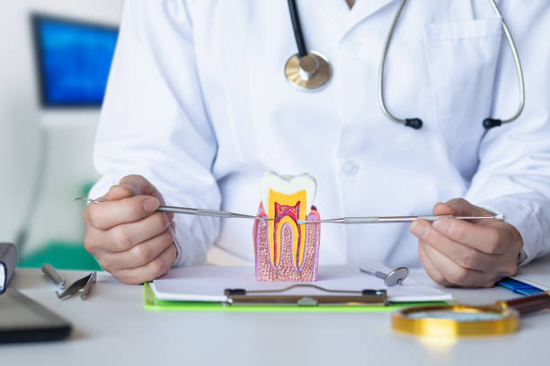 Best Emergency Tooth Extraction in Rolling Hills Estates, CA